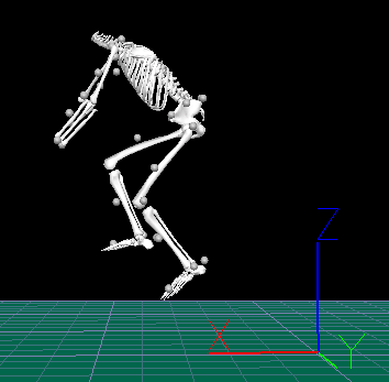 cycling biomechanics
