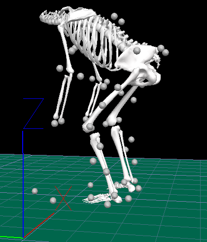 weight lifting biomechanics