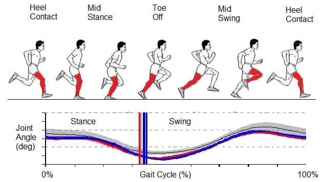 Identify The Cause And Risk Of Running Injuries: 3D Running Biomechanics